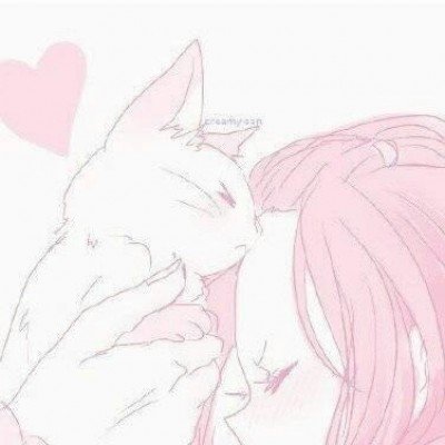 给长辈烧了纸猫第二天遇到真猫决定收养